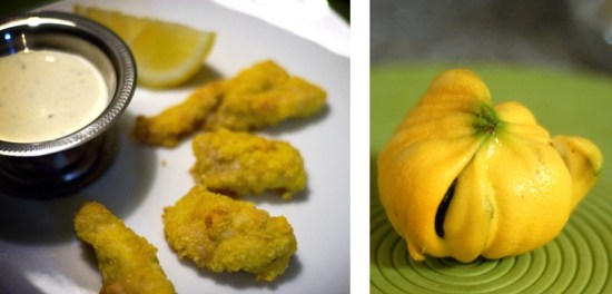 catfish and deformed lemon