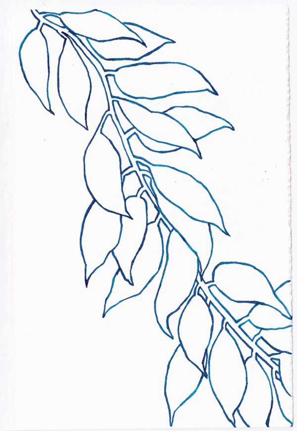 leaf-drawingsm
